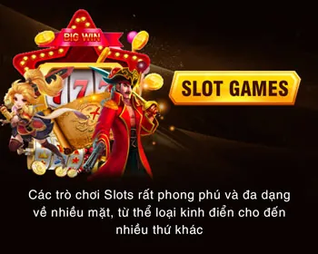 Theo Dõi Cấp Độ VIP Của Bạn